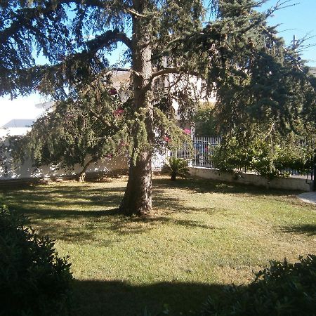 B&B Il Cedro Salve Esterno foto